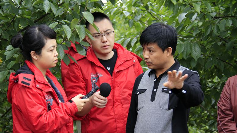 “自治区劳动模范和先进从业者表彰大会暨全区“人民满意的公务员（集体）”