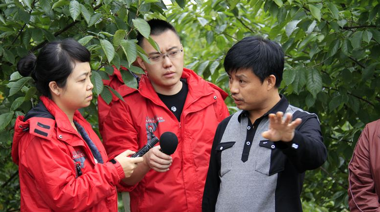 “【行走自贸区】＂筑巢引凤＂ 海南自贸港抛出橄榄枝打好＂人才牌＂”